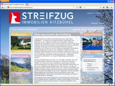 Immobilien Streifzug Magazine-Websites