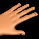 3D-Modell einer Hand