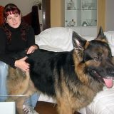 Sandra mit Schäferhund Pete