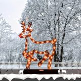 Linz Winter Wonderland